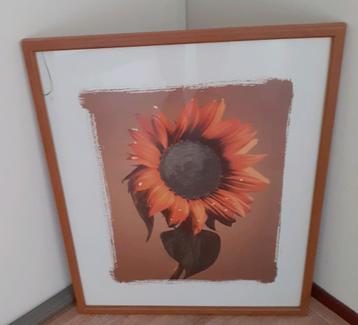  ,fotolijst , kraan  grohe thermostaatkraan beschikbaar voor biedingen