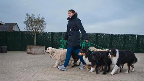 Hondenoppas aangeboden, Diensten en Vakmensen, Dieren | Honden | Verzorging, Oppas en Les