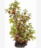 sf art plant  25cm rotala €7,15, Dieren en Toebehoren, Ophalen of Verzenden, Nieuw, Plant(en), Steen of Hout