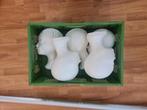koppen piepschuim 5 stuks, Ophalen, Gebruikt