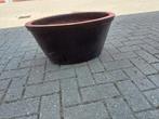 plantenpot morgen ophalen, Gebruikt, Tuin, Minder dan 40 cm, Overige vormen