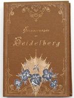 Erinnerungen an Heidelberg [c1900] Leporello 12 blz., Antiek en Kunst, Ophalen of Verzenden
