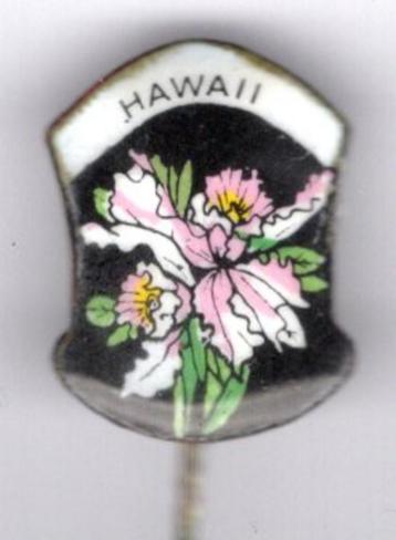 Hawaii email op zilverkleurig bloemen speldje ( V_211a ) beschikbaar voor biedingen