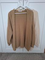 Ambika oversized vesten maat M L, Kleding | Dames, Ambika, Ophalen of Verzenden, Gedragen, Maat 38/40 (M)