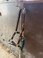 leer halster met bijpassend touw, Dieren en Toebehoren, Paarden en Pony's | Hoofdstellen en Tuigage, Ophalen of Verzenden, Overige soorten