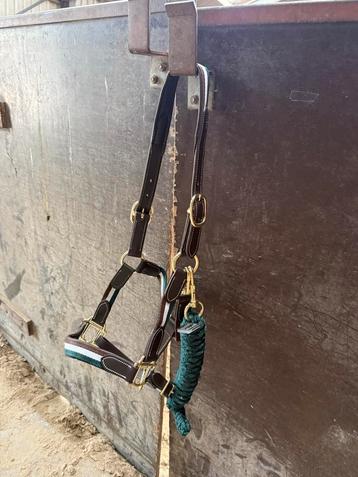 leer halster met bijpassend touw beschikbaar voor biedingen