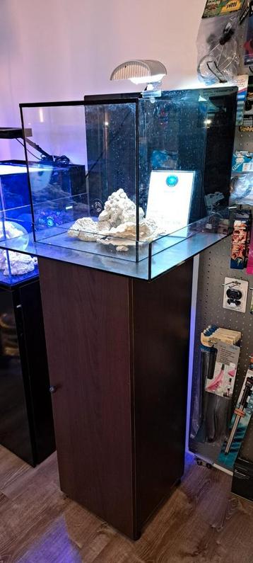Custom zee of zoet water aquarium  beschikbaar voor biedingen
