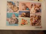 1000 stukjes, Ophalen, Nieuw