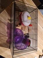 Hamsterkooi, Dieren en Toebehoren, Kooi, Gebruikt, Minder dan 75 cm, Hamster