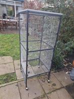 Rattenkooi 1536060, Kooi, Gebruikt, Minder dan 75 cm, Ophalen of Verzenden