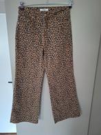 Flared pants maat L panter, Jewelll, Ophalen of Verzenden, Zo goed als nieuw, Zwart