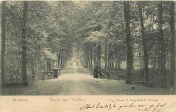 (300-442-015) Bussum Bosch van Bredius beschikbaar voor biedingen