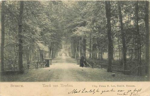 (300-442-015) Bussum Bosch van Bredius, Verzamelen, Ansichtkaarten | Nederland, Noord-Holland, Verzenden