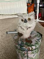 Harry Potter uil, Verzamelen, Harry Potter, Ophalen, Zo goed als nieuw, Beeldje of Buste