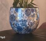 Lammie Dutch Blue ~ Nieuw Staat, 25 tot 40 cm, Verzenden, Rond, Tuin