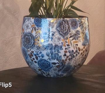 Lammie Dutch Blue ~ Nieuw Staat  beschikbaar voor biedingen