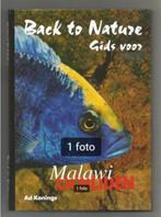 Malawi Cichliden - Ad Konings, Boeken, Ophalen of Verzenden, Zo goed als nieuw, Vissen