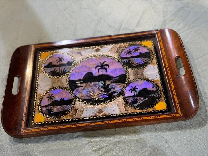 Braziliaans Antiek Dienblad met Vlinders, Antiek en Kunst, Antiek | Wandborden en Tegels, Ophalen of Verzenden