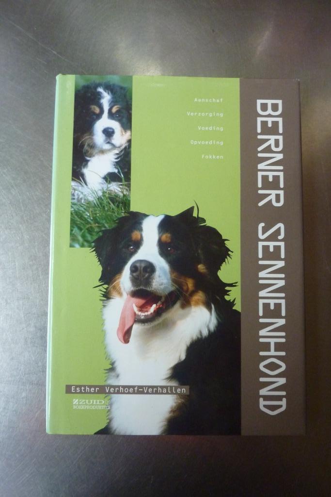 Berner Sennenhond - Esther Verhoef, Boeken, Dieren en Huisdieren, Zo goed als nieuw, Honden, Ophalen of Verzenden