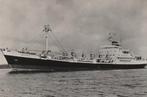 Ansichtkaart MS Mercurius (KNSM), Ophalen of Verzenden, Zo goed als nieuw, Kaart, Foto of Prent