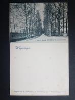 Ansichtkaart Wageningen Laan naar Oranje Nassauoord, Ophalen of Verzenden, Voor 1920, Ongelopen, Gelderland