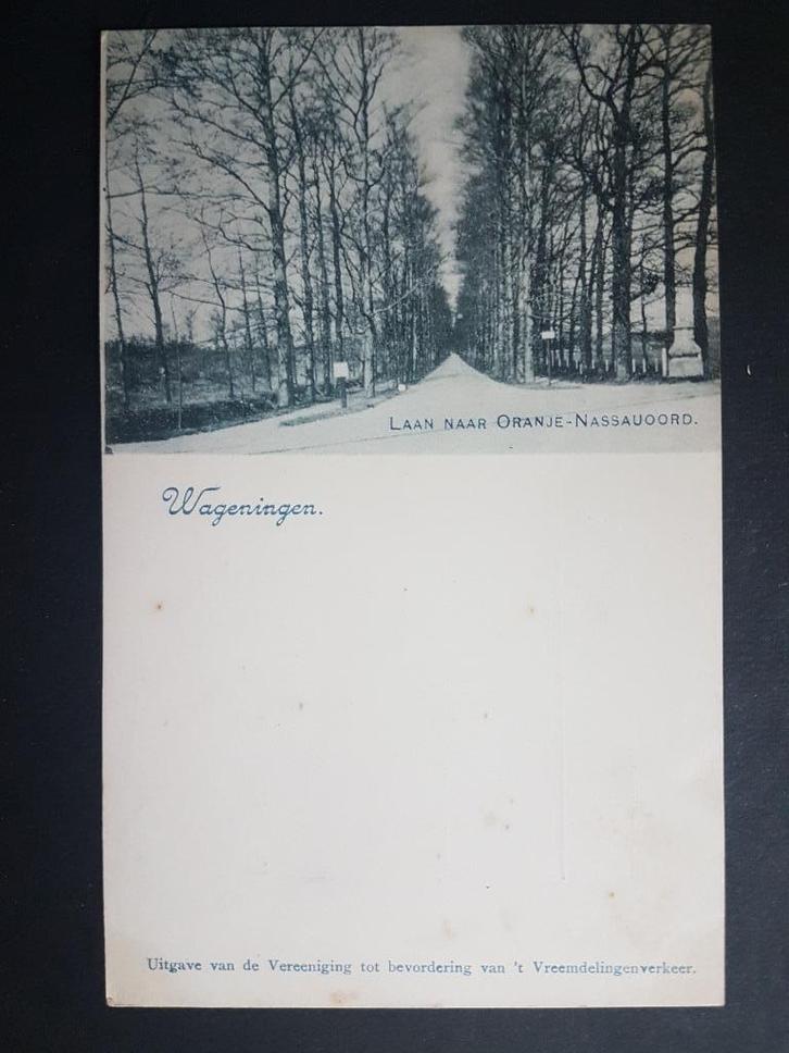 Ansichtkaart Wageningen Laan naar Oranje Nassauoord, Verzamelen, Ansichtkaarten | Nederland, Ongelopen, Gelderland, Voor 1920