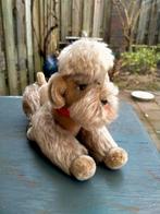 Steiff Poedel uit de jaren 50, Verzamelen, Beren en Cherished Teddies, Ophalen of Verzenden, Zo goed als nieuw, Stoffen beer, Steiff