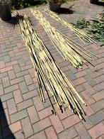 Bamboe stokken, Tuin en Terras, Planten | Struiken en Hagen, Ophalen