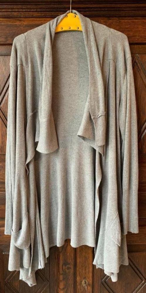 Grijs gemeleerd vest met 'punten'; oto 61 cm, Kleding | Dames, Grote Maten, Gedragen, Trui of Vest, Grijs, Ophalen of Verzenden