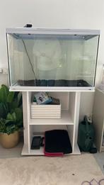 Superfish 80 cm aquarium led verlichting, Dieren en Toebehoren, Vissen | Aquaria en Toebehoren, Ophalen, Zo goed als nieuw, Leeg aquarium