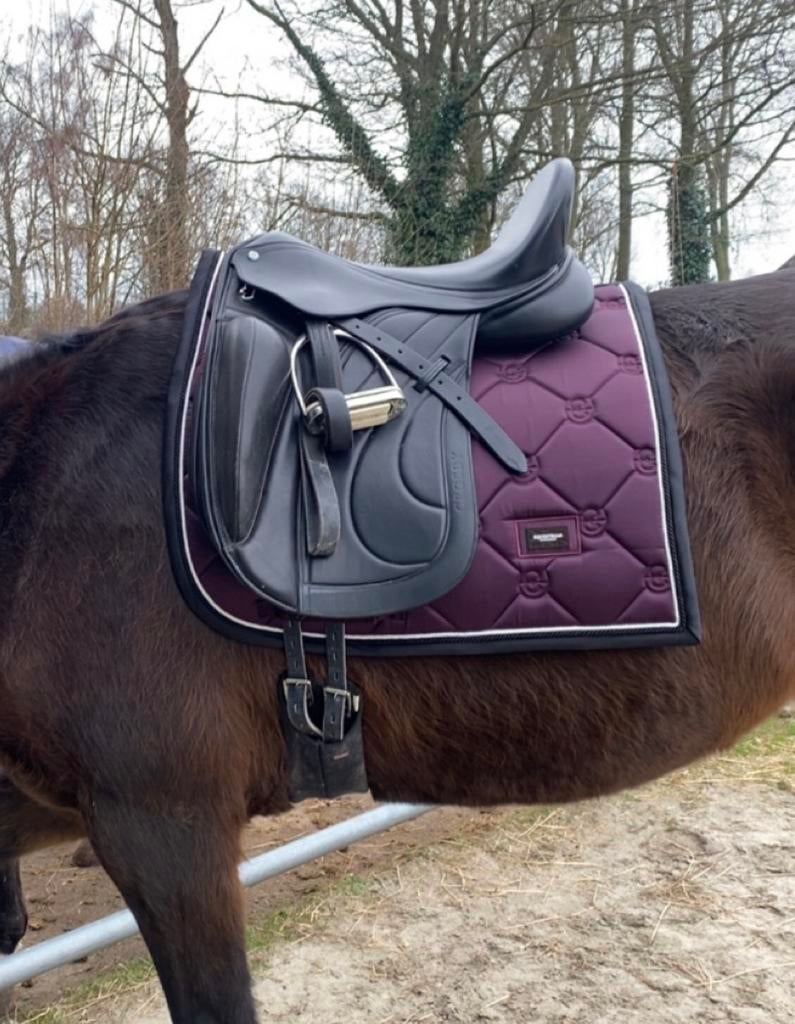 Equestrian Stockholm black raven full, Dieren en Toebehoren, Paarden en Pony's | Dekens en Dekjes, Zo goed als nieuw, Ophalen of Verzenden