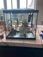 Start Superfish 50 aquarium, Dieren en Toebehoren, Vissen | Aquaria en Toebehoren, Ophalen, Zo goed als nieuw, Leeg aquarium