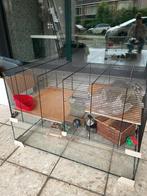 Luxe rattenkooi met toebehoren, Dieren en Toebehoren, Ophalen of Verzenden, Zo goed als nieuw, Kooi