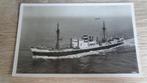m.s Sarpedon, Verzenden, Gebruikt, Motorboot, Kaart, Foto of Prent