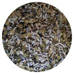lavendel thee kruiden, Ophalen of Verzenden, Nieuw, Overige typen