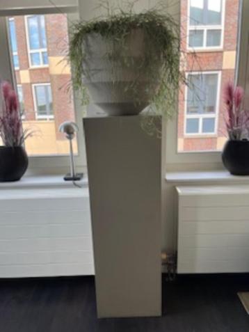 Zuil en pot (2x) beschikbaar voor biedingen