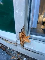 Hout rot!!!, Doe-het-zelf en Verbouw, Minder dan 25 mm, Ophalen of Verzenden, Balk, Minder dan 200 cm