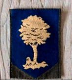 Landmacht Embleem  Opleidings en Trainingscommando DT, Verzamelen, Militaria | Algemeen, Embleem of Badge, Nederland, Landmacht