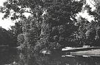 901350	Arnhem	Sonsbeek	Boerderij	1951	Postzegel afgeweekt, Ophalen of Verzenden, 1940 tot 1960, Gelopen, Gelderland
