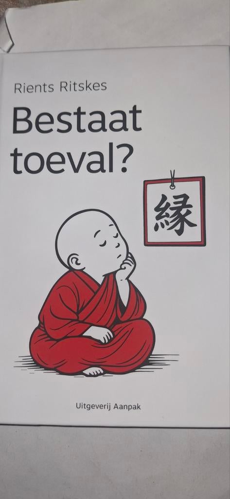 Bestaat toeval? - Rients Ritskes, Boeken, Achtergrond en Informatie, Spiritualiteit algemeen, Ophalen of Verzenden, Zo goed als nieuw