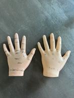 Anatomisch model acupunctuur handen 12,5 cm, Antiek en Kunst, Curiosa en Brocante, Ophalen of Verzenden