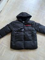 Prada jas 176 XS tot L, Kleding | Heren, Jassen | Winter, Ophalen of Verzenden, Zo goed als nieuw, Maat 46 (S) of kleiner, Zwart