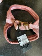 Nieuw tuigje met riem, Ophalen of Verzenden, Nieuw