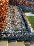 Tuin bak met zijkant steentjes, Rond, Ophalen of Verzenden, Zo goed als nieuw, Tuin