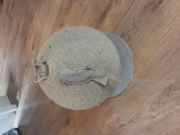 Katten krab bol beschikbaar voor biedingen