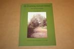 De straatweg Gorcum-Vianen - Het moeizame ontstaan, Boeken, Geschiedenis | Stad en Regio, Ophalen of Verzenden, Zo goed als nieuw