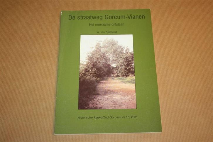 De straatweg Gorcum-Vianen - Het moeizame ontstaan, Boeken, Geschiedenis | Stad en Regio, Zo goed als nieuw, Ophalen of Verzenden