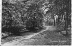 Groesbeek Bosgezicht., Verzamelen, Ansichtkaarten | Nederland, Ophalen of Verzenden, 1960 tot 1980, Ongelopen, Gelderland