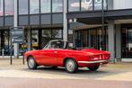 Alfa Romeo Giulia Sprint GTC (bj 1965), Auto's, Oldtimers, Cabriolet, Origineel Nederlands, Bedrijf, Handgeschakeld
