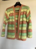 Gehaakt vest in vrolijke kleuren, mt. M, Ophalen of Verzenden, Zo goed als nieuw, Maat 38/40 (M), Overige kleuren